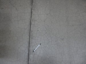 DSC04041
