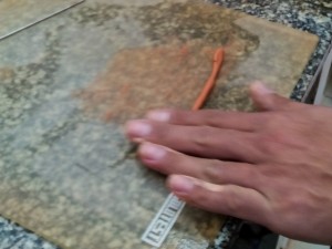 Limite de plasticidade (foto JBA)